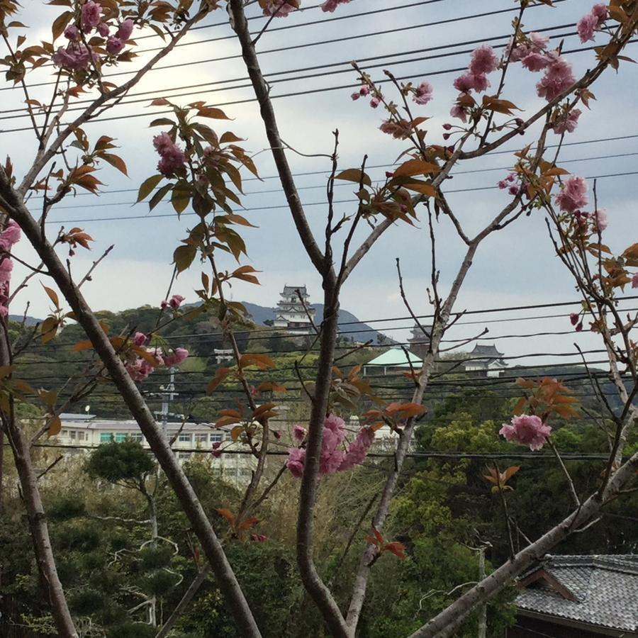 Hotel Saiyo Wakigawa Hirado Bagian luar foto